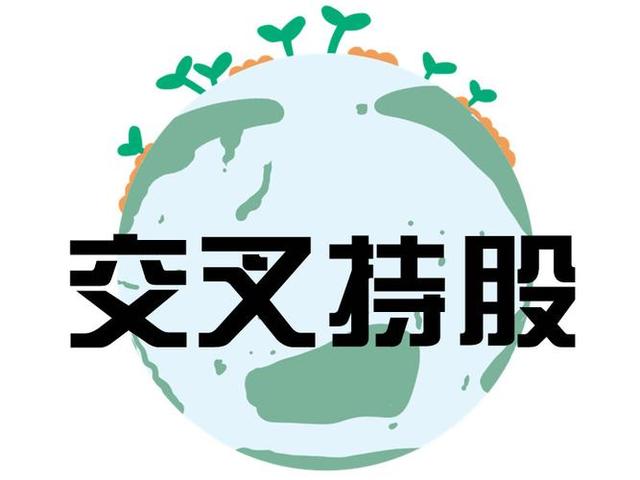 交叉持股安排设计(交叉持股怎么计算持股比例)定西市